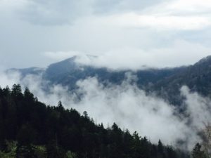 bus tour welcome smoky mountain bus tours